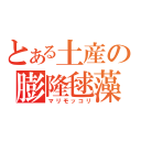 とある土産の膨隆毬藻（マリモッコリ）