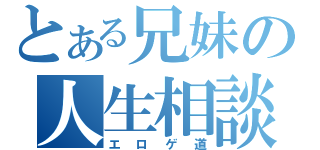 とある兄妹の人生相談（エロゲ道）