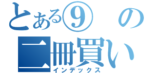 とある⑨の二冊買い（インデックス）