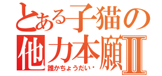 とある子猫の他力本願Ⅱ（誰かちょうだい〜）