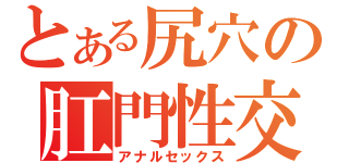 とある尻穴の肛門性交（アナルセックス）