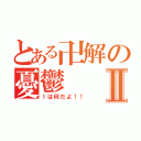 とある卍解の憂鬱Ⅱ（Ⅰは何だよ！！）