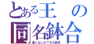 とある王の同名鉢合（重くないか？その称号）