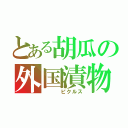 とある胡瓜の外国漬物（　　　ピクルス）