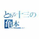 とある十三の亀本（今日は頑張った！）