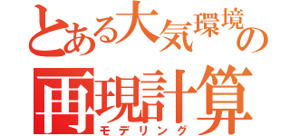 とある大気環境の再現計算（モデリング）