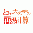 とある大気環境の再現計算（モデリング）