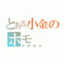 とある小金のホモ（伊藤優生）