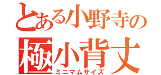 とある小野寺の極小背丈（ミニマムサイズ）