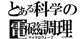 とある科学の電磁調理（マイクロウェーブ）