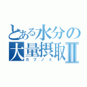 とある水分の大量摂取Ⅱ（ガブノミ）