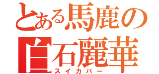 とある馬鹿の白石麗華（スイカバー）