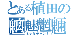 とある植田の魑魅魍魎（ミナミチャン！）