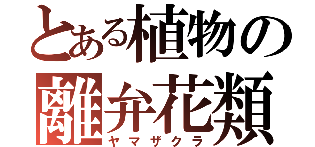 とある植物の離弁花類（ヤマザクラ）