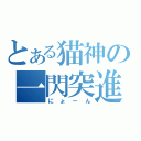 とある猫神の一閃突進（にょーん）