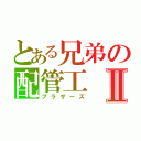 とある兄弟の配管工Ⅱ（ブラザーズ）