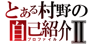 とある村野の自己紹介Ⅱ（プロファイル）