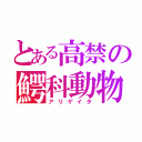 とある高禁の鰐科動物（アリゲイタ）