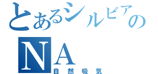 とあるシルビアのＮＡ（自然吸気）