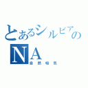 とあるシルビアのＮＡ（自然吸気）