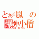 とある嵐の爆弾小僧（スモーキングボム）