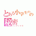 とある小学生のの秘密（インデックス）