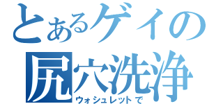 とあるゲイの尻穴洗浄（ウォシュレットで）