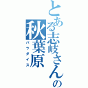 とある志岐さんの秋葉原（パラダイス）