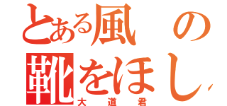 とある風の靴をほしがる（大道君）