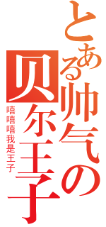 とある帅气の贝尔王子（嘻嘻嘻我是王子）