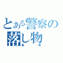 とある警察の落し物（届物）