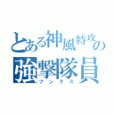 とある神風特攻の強撃隊員（フングス）