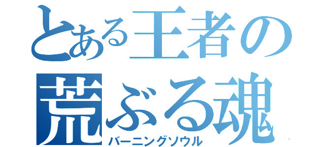 とある王者の荒ぶる魂（バーニングソウル）