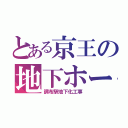 とある京王の地下ホーム（調布駅地下化工事）