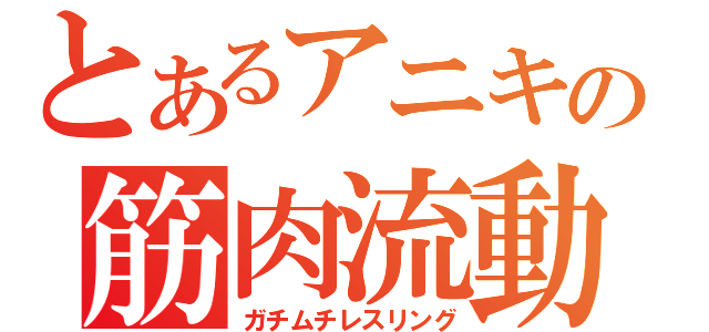 とあるアニキの筋肉流動（ガチムチレスリング）