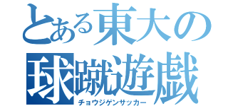 とある東大の球蹴遊戯（チョウジゲンサッカー）