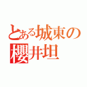 とある城東の櫻井坦（）