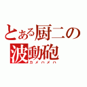 とある厨二の波動砲（カメハメハ）