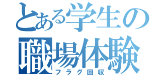 とある学生の職場体験（フラグ回収）