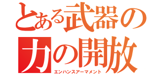 とある武器の力の開放（エンハンスアーマメント）