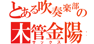 とある吹奏楽部の木管金陽（サックス）