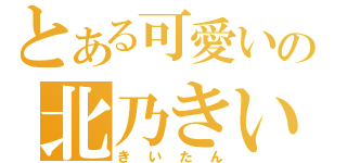 とある可愛いの北乃きい（きいたん）