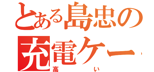 とある島忠の充電ケーブル（高い）