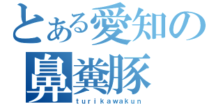 とある愛知の鼻糞豚（ｔｕｒｉｋａｗａｋｕｎ）