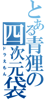 とある青狸の四次元袋（ドラえもん）