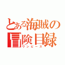 とある海賊の冒険目録（ワンピース）