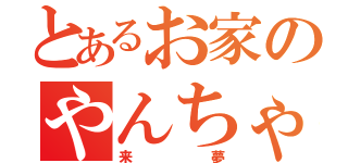 とあるお家のやんちゃ君（来夢）