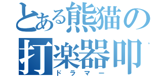 とある熊猫の打楽器叩人（ドラマー）