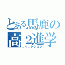 とある馬鹿の高２進学（コウニシンガク）