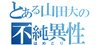 とある山田大の不純異性交遊（はめどり）